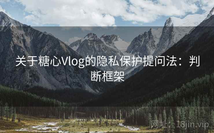 关于糖心Vlog的隐私保护提问法：判断框架
