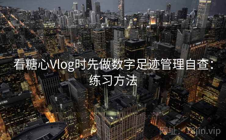 看糖心Vlog时先做数字足迹管理自查：练习方法