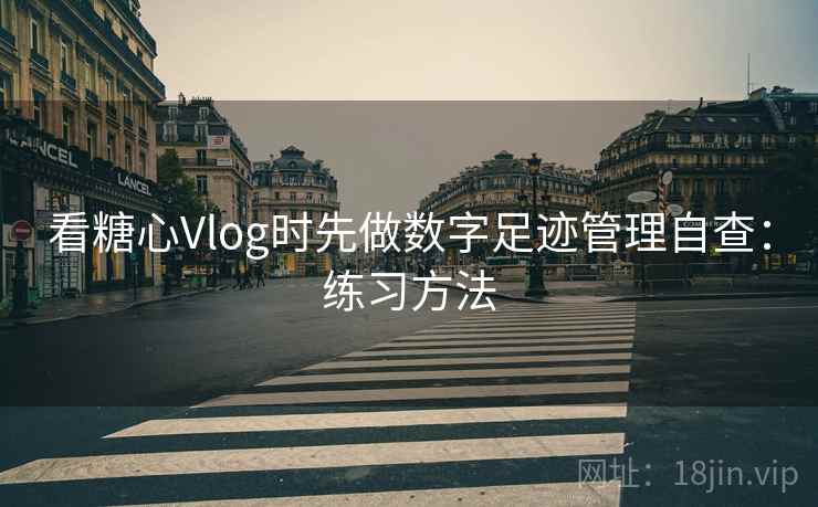看糖心Vlog时先做数字足迹管理自查：练习方法
