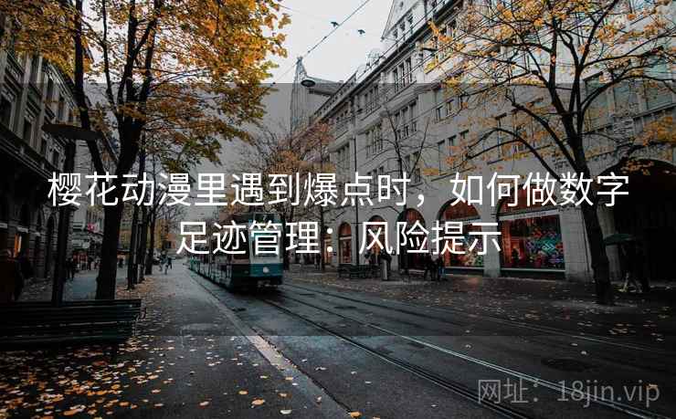 樱花动漫里遇到爆点时，如何做数字足迹管理：风险提示