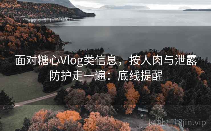 面对糖心Vlog类信息，按人肉与泄露防护走一遍：底线提醒
