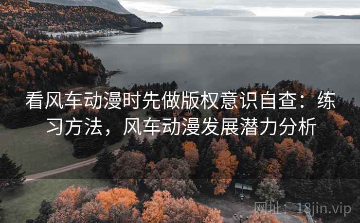 看风车动漫时先做版权意识自查：练习方法，风车动漫发展潜力分析