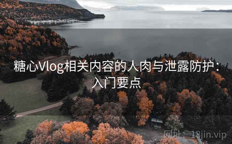 糖心Vlog相关内容的人肉与泄露防护:入门要点 糖心Vlog相关内容的人肉与泄露防护:入门要点