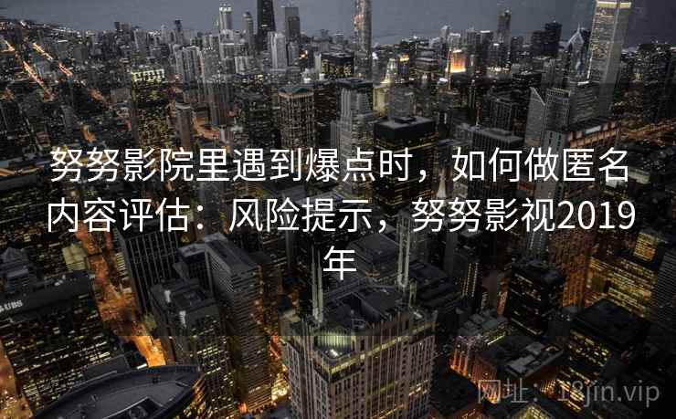 努努影院里遇到爆点时，如何做匿名内容评估：风险提示，努努影视2019年